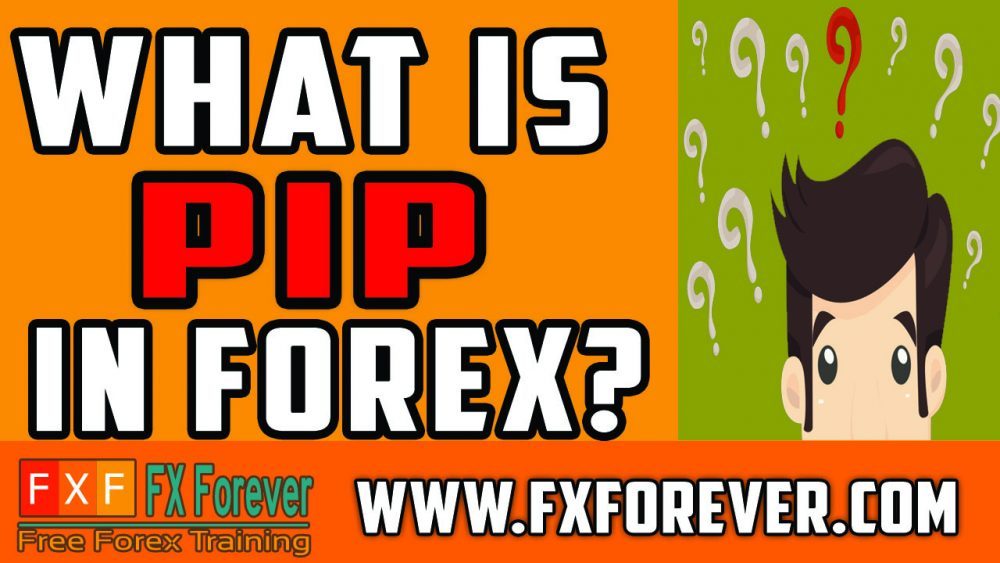 What is PIP in Forex Trading